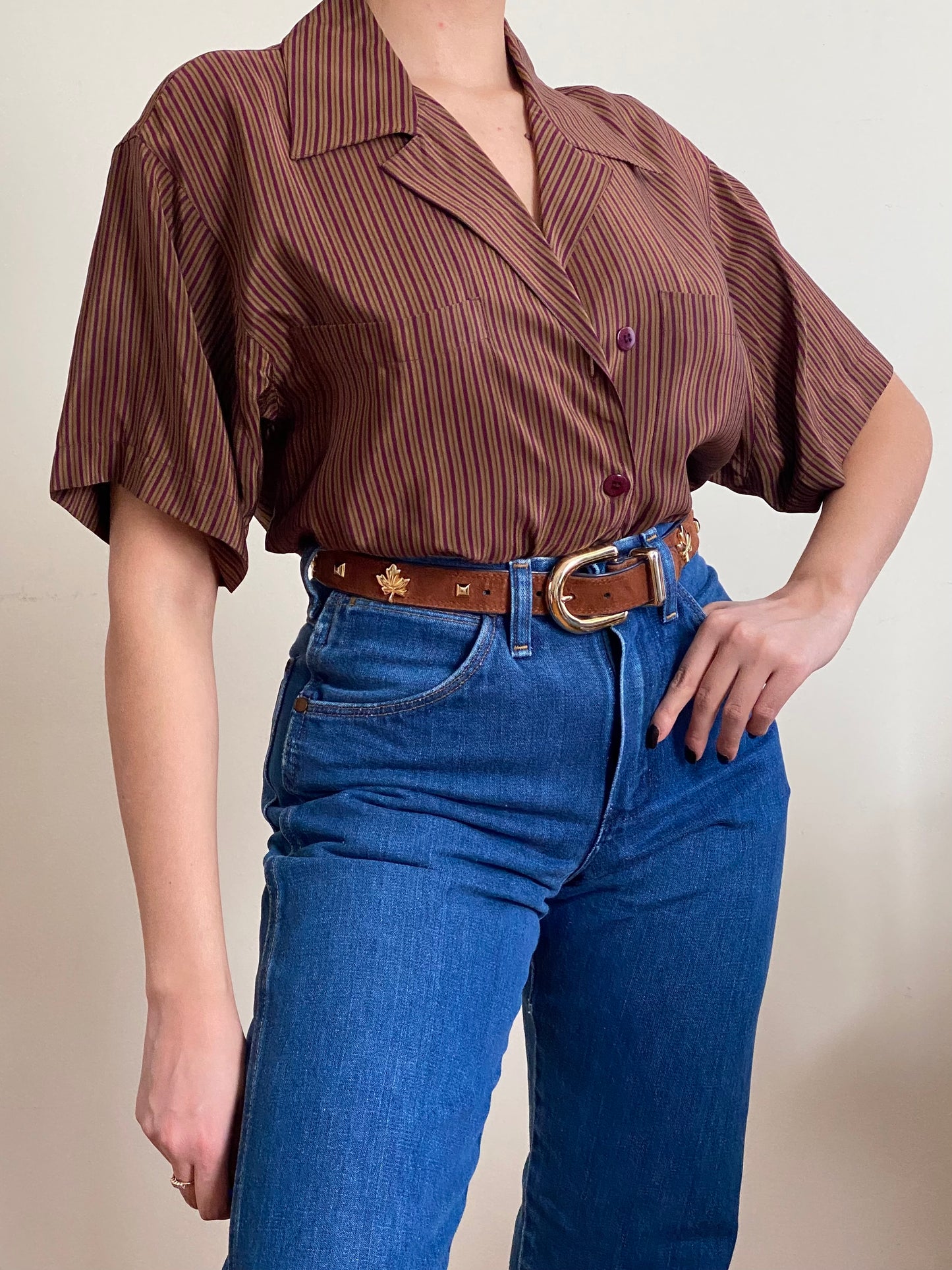 Silk Striped Short Sleeve Button Down Blouse (S-M)